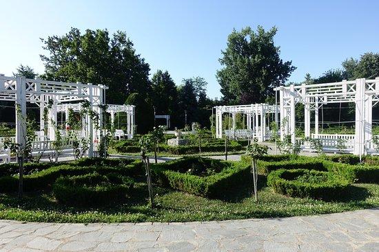 Plimbări în Parcul Bega